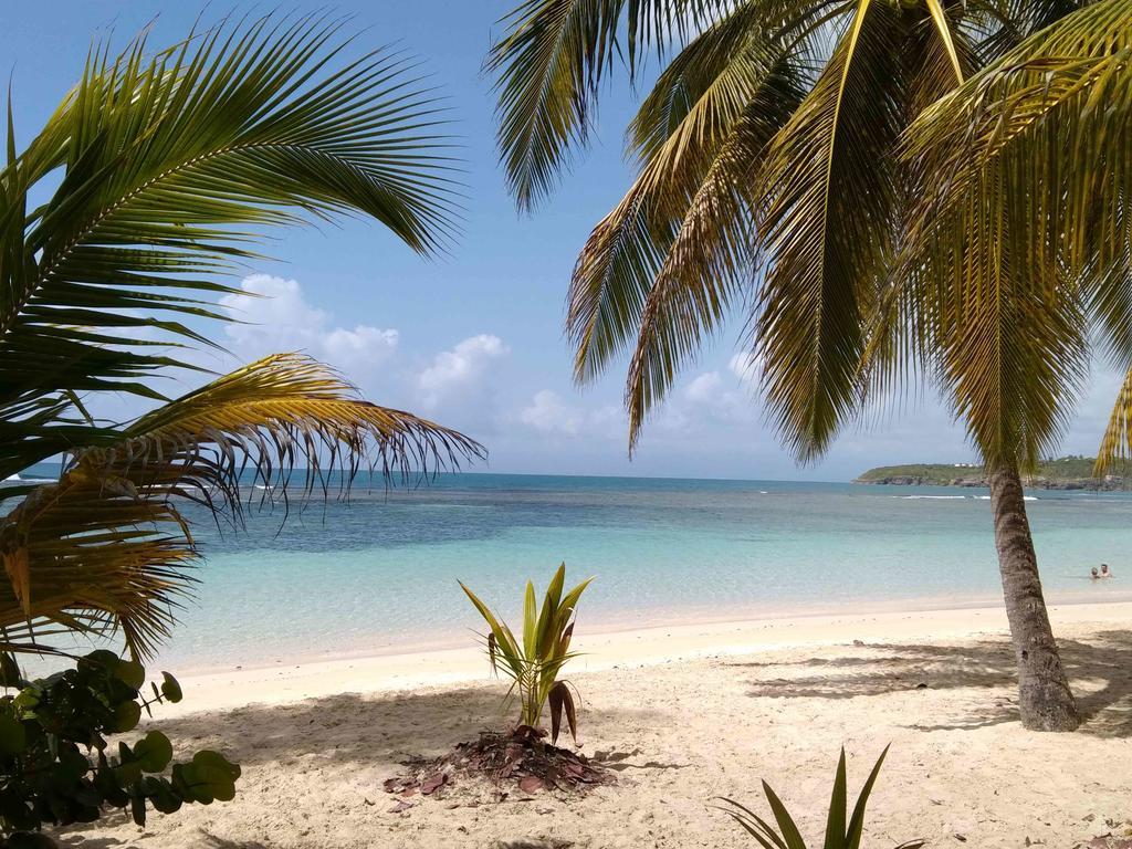 Appartements: Plage & Commerces A 200M Sainte-Anne  Exterior foto