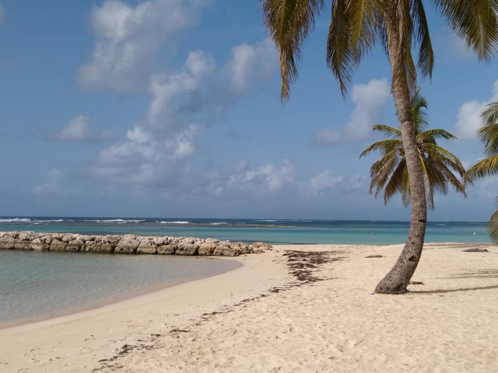 Appartements: Plage & Commerces A 200M Sainte-Anne  Exterior foto